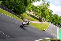 anglesey;brands-hatch;cadwell-park;croft;donington-park;enduro-digital-images;event-digital-images;eventdigitalimages;mallory;no-limits;oulton-park;peter-wileman-photography;racing-digital-images;silverstone;snetterton;trackday-digital-images;trackday-photos;vmcc-banbury-run;welsh-2-day-enduro